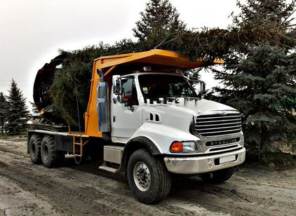 FORD для пересадки деревьев FORD для
пересадки
